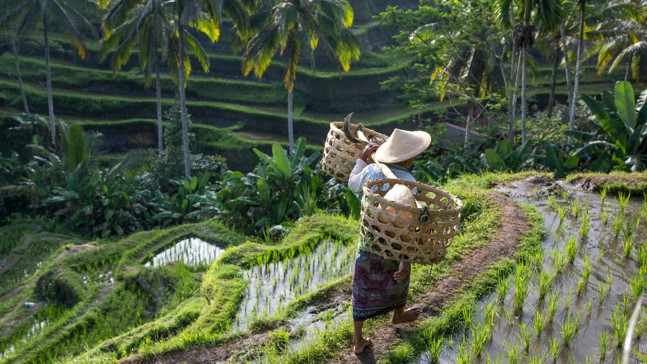 Interact with Locals/Farmers